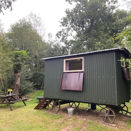 The Shepherd'S Hut - Wild Escapes Wrenbury Off Grid Glamping - Ages 12 And Over Baddiley Ngoại thất bức ảnh