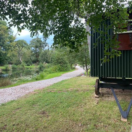 The Shepherd'S Hut - Wild Escapes Wrenbury Off Grid Glamping - Ages 12 And Over Baddiley Ngoại thất bức ảnh
