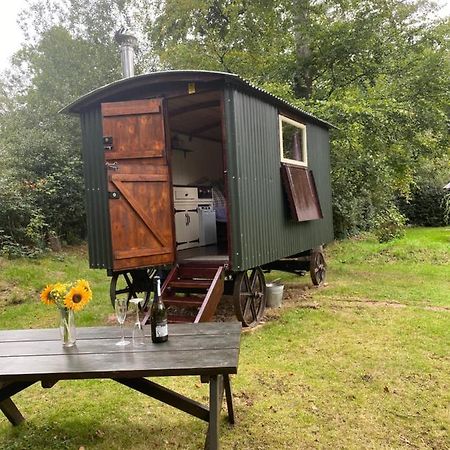 The Shepherd'S Hut - Wild Escapes Wrenbury Off Grid Glamping - Ages 12 And Over Baddiley Ngoại thất bức ảnh