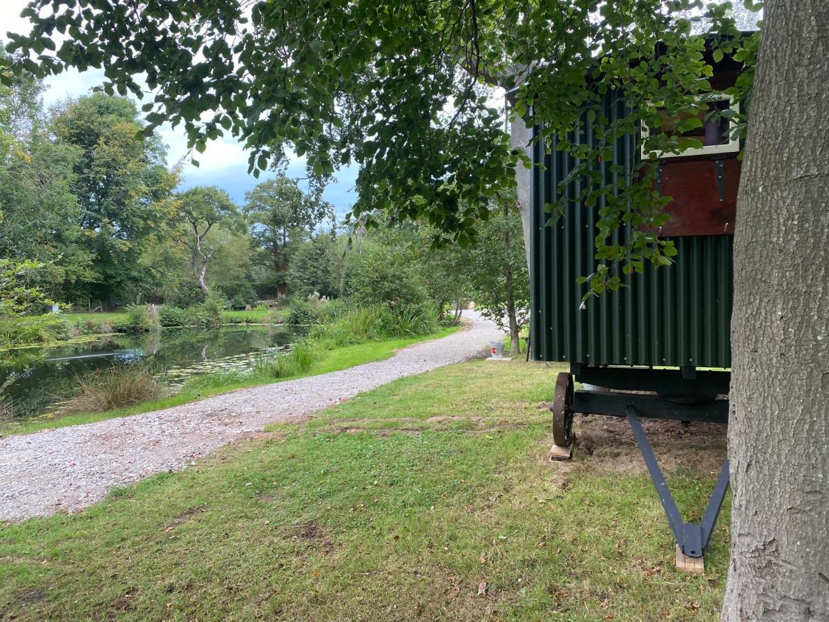 The Shepherd'S Hut - Wild Escapes Wrenbury Off Grid Glamping - Ages 12 And Over Baddiley Ngoại thất bức ảnh