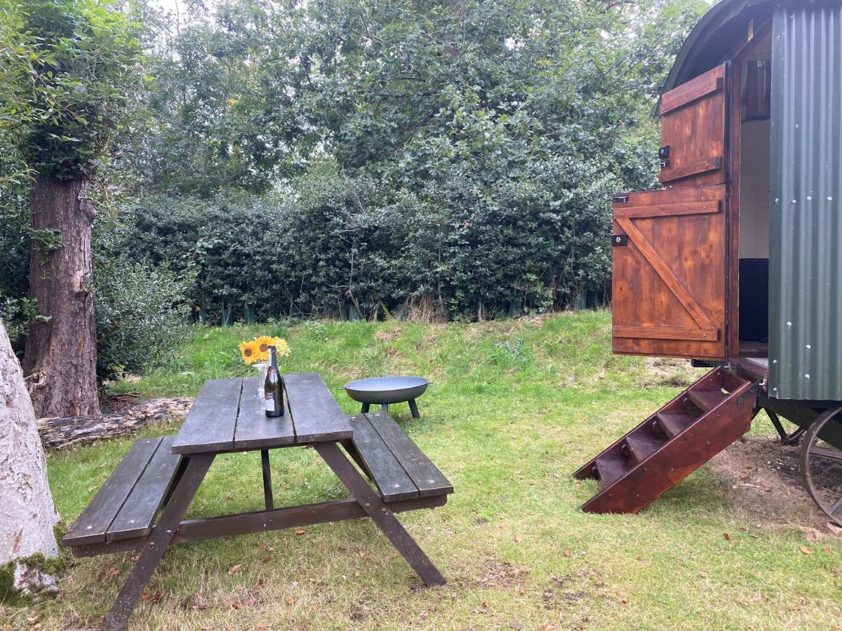 The Shepherd'S Hut - Wild Escapes Wrenbury Off Grid Glamping - Ages 12 And Over Baddiley Ngoại thất bức ảnh